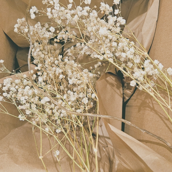 Baby's Breath (Gypsophila) Stem flowers- Dry Flower Bouquet DIY organic Material - Picture 10 of 11